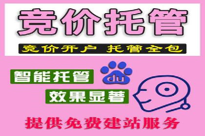 某公司SEM竞价专员的成长之路与案例