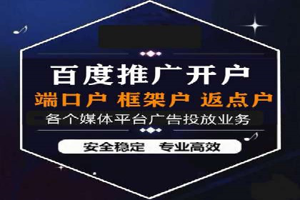 SEM代理服务：助力企业精准营销案例解析