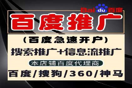 百度竞价推广运营实战技巧与经典案例剖析